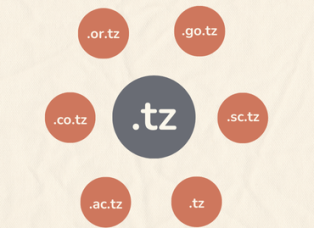 tanzania domain