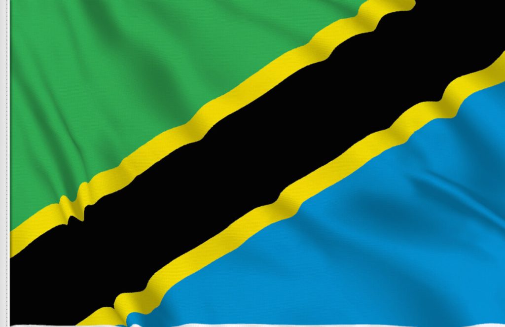 Tanzania Web: How People Go Online, Build Websites & Grow Digitally