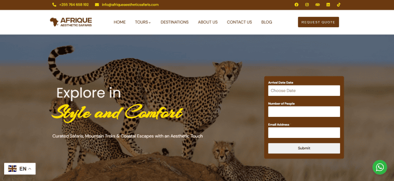 website design in arusha