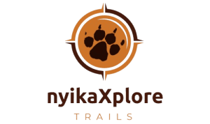 NyikaXplore