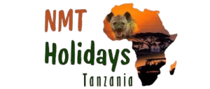 NMT Holidays Tanzania