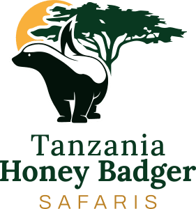 Tanzania Honeybadger
