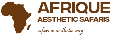 Afrique Aesthetic Safaris
