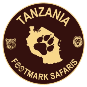 Tanzania Footmark