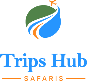 Trips Hub Safaris
